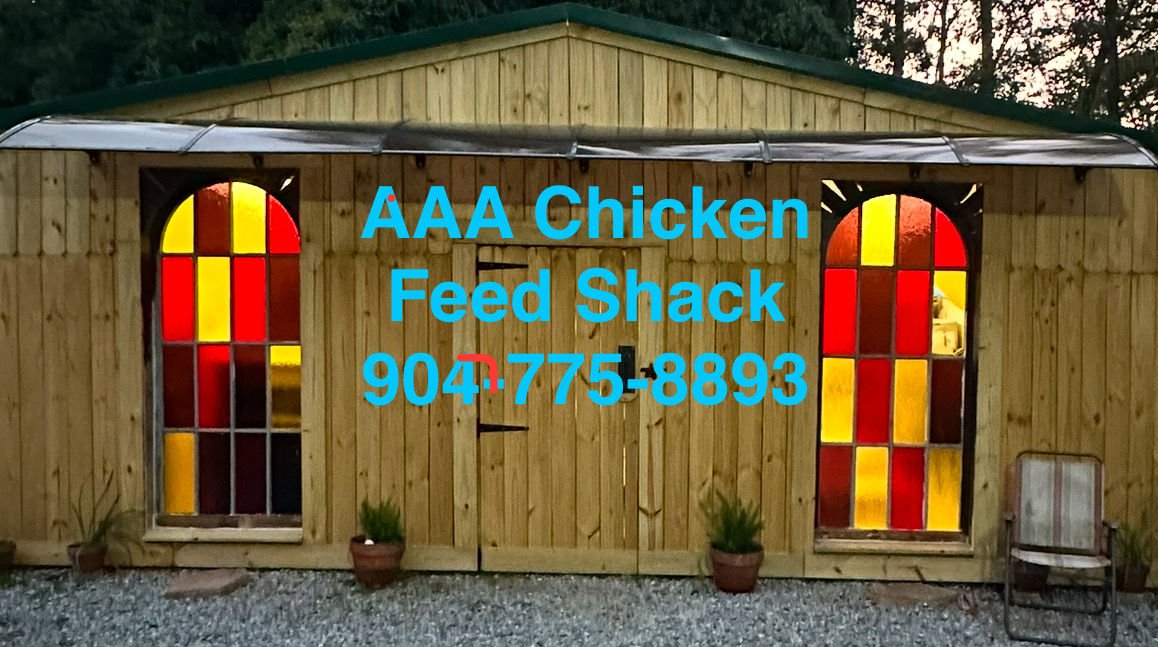 Photo of Aaa Chickens